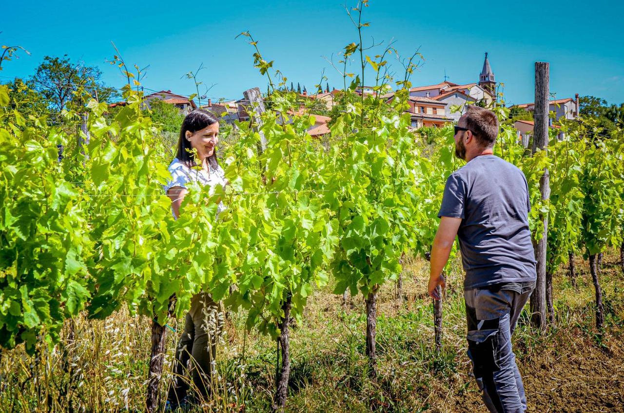 Wine & Apartment Vinales Koper Ngoại thất bức ảnh